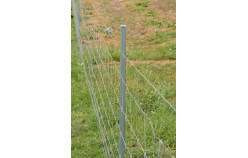 clôture grillage petite maille pour chien - Fournisseur de clôtures  grillages à Bézancourt Seine Maritime - Cyclone France