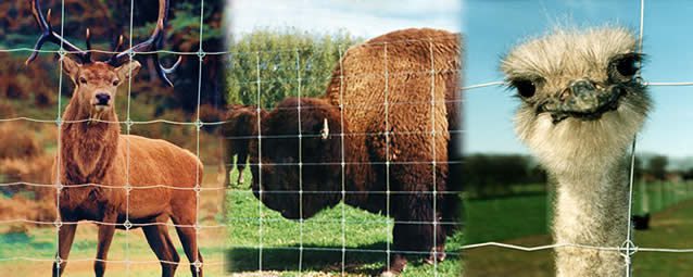 Grillage HT17 1900 150 Cyclone NZ contre sangliers et gros gibiers