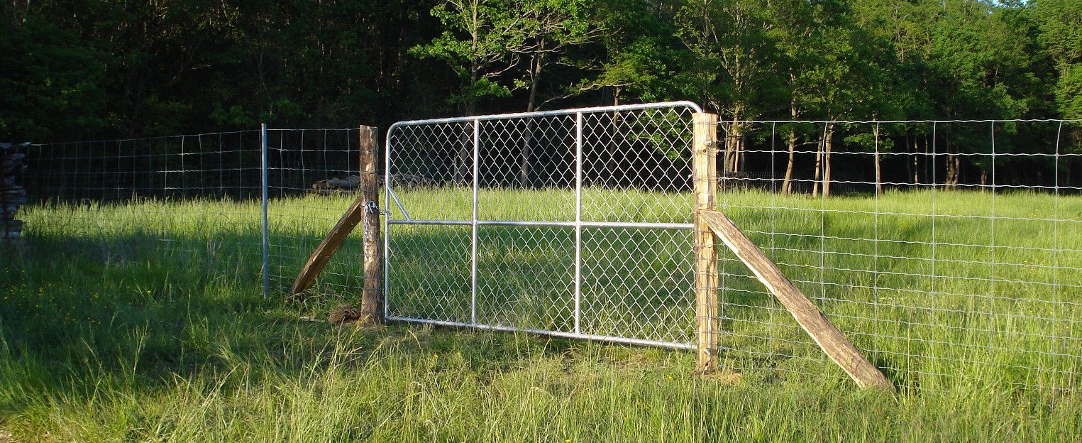 Image catégorie par défaut