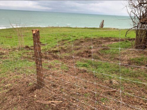 Modèle de grillage de protection adapté à la protection d'un sentier littoral près du Havre dans le 76
