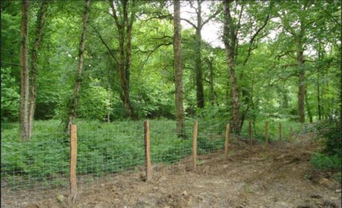 Poser un grillage high tensile hauteur 1,50 m pour protéger des plantations au Havre du gibier