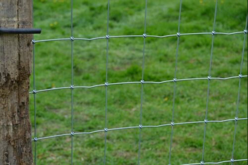 Vente en gros de grillage haute résistance anti sanglier pour la protection d'exploitations agricoles près d'Angers dans le Maine et Loire