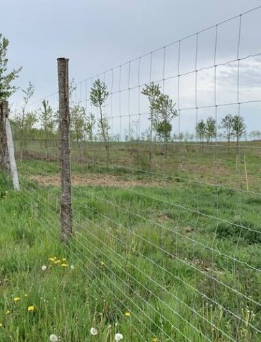Photo de la pose d'un grillage haute résistance pour protéger des plantations à Beaune en Côte-d'Or
