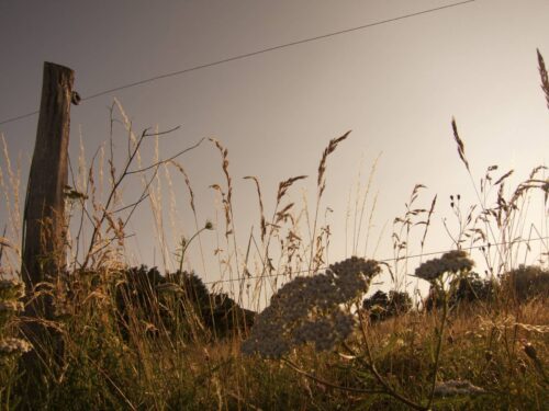 remplacement et pose de cloture 76