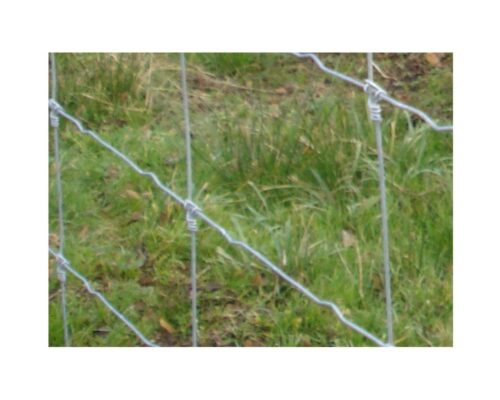 Photo d'un grillage agricole noué robuste pour clôturer et protéger les exploitations fruitières à Montauban dans le 82