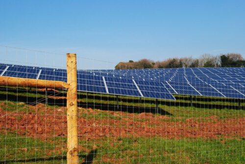 grillage cyclone clôture