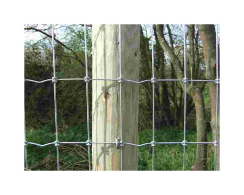 Modèle de grillage ligaturé solide adapté au renfort de haie à acheter près de Rouen dans le 76