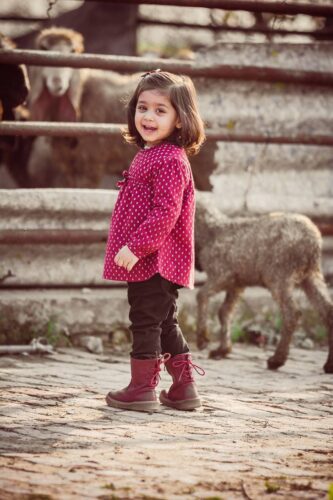 Modèle de grillage high tensile pour enclos à animaux et pour fermes pédagogiques près de Toulouse