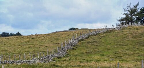 commande urgente fil de fer pour cloture sur muret Aubrac, Massif Central
