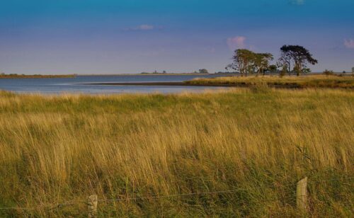 GRILLAGE DE PROTECTION POUR RESERVE NATURELLE près de la Baie de Somme (80)