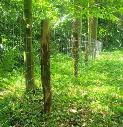 Pose d'un grillage de protection en fil haute résistance 1200mm de hauteur pour délimiter et protéger une propriété près de Angers dans le 49