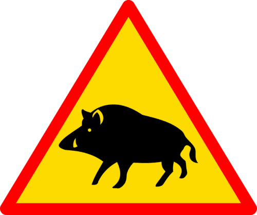 Grillage protection sanglier proche ROUEN, CAEN, EVREUX Haute Normandie et Basse Normandie