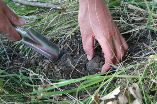 fournisseur de grillage pas cher pour parc à truffe en Lozère