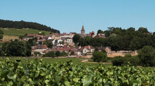 matériel de palissage Bourgogne